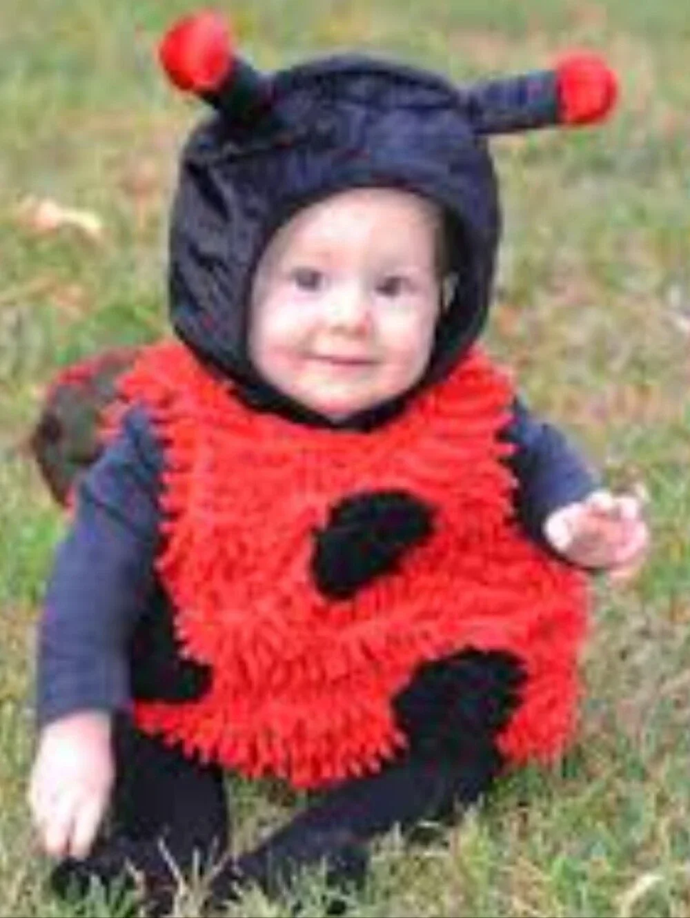 Dream Play Imagine ladybug halloween
